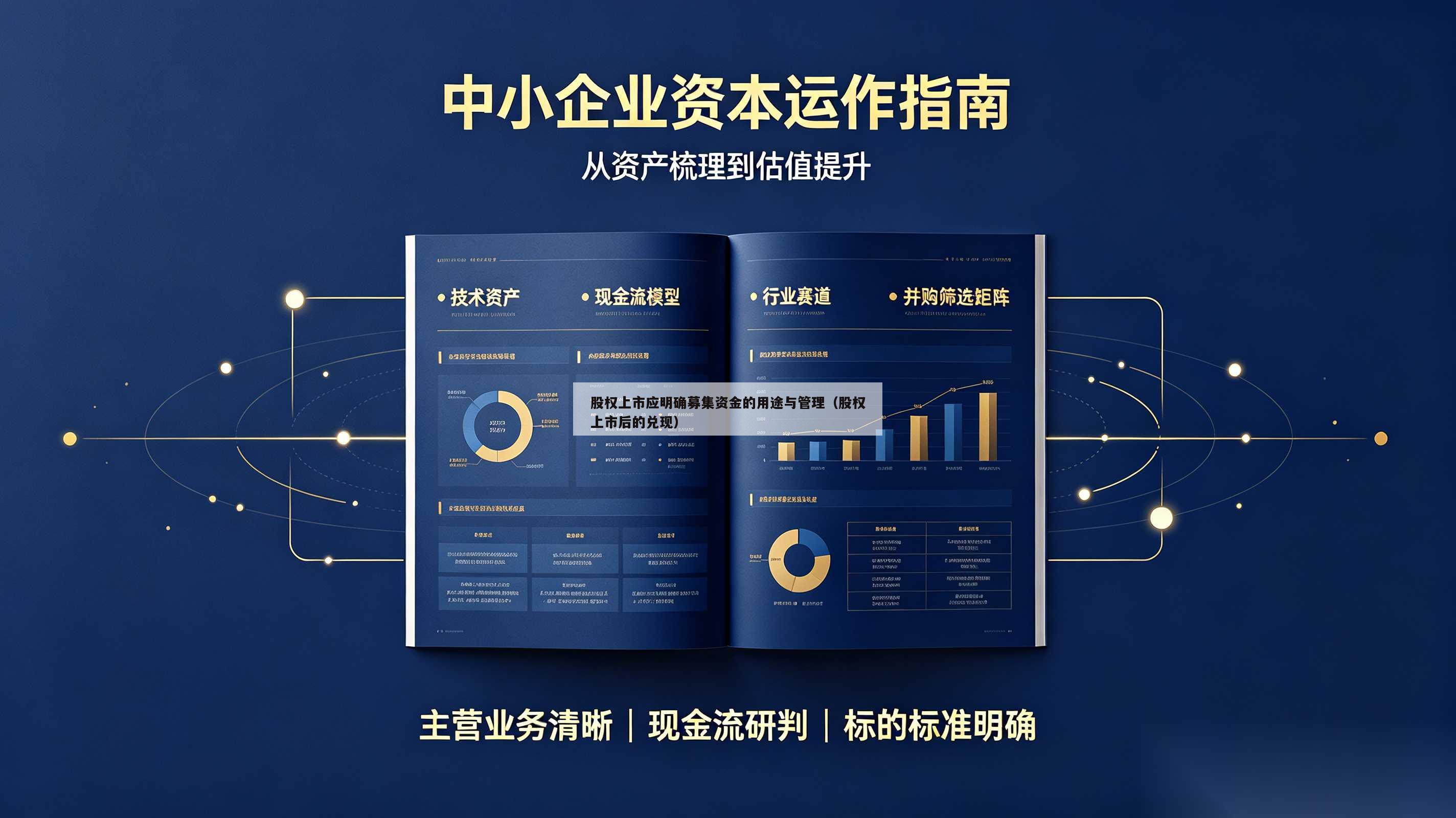 股权上市应明确募集资金的用途与管理（股权上市后的兑现）-第1张图片-深圳中创商业咨询
